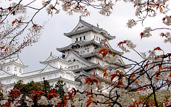 Landscape, Flowers, Trees, Architecture, Asia, Sakura HD wallpaper