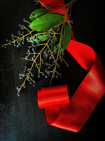 Berries, Miscellanea, Miscellaneous, Branch, Tape HD phone wallpaper