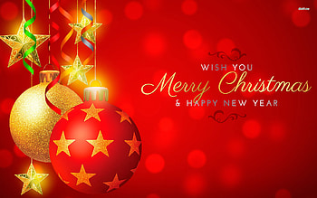 The 25+ best Christmas ideas on Pinterest | Flower , Red and Papier peint une piÃ¨ce HD wallpaper