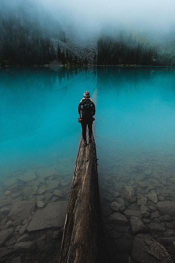 Nature, Water, Lake, Human, Person, Log HD phone wallpaper