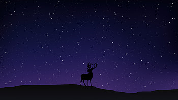 Night Sky Deer Minimal , deer, reindeer, minimalism, minimalist, artist, artwork, digital-art HD wallpaper