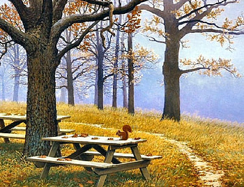 early morning, mist, path, trees, benches, grass, park, squirrel HD wallpaper