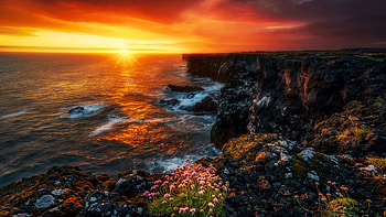 Snaefellsnes Peninsula, Iceland, coast, colors, sky, rocks, sun, atlantic, sunset, ocean, wildflowers HD wallpaper