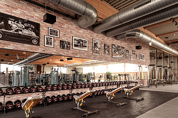 Golds Gym Berlin, Sustainable fitness studio, Business Insider, Fitness excellence HD wallpaper