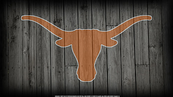 Texas Longhorn HD wallpaper
