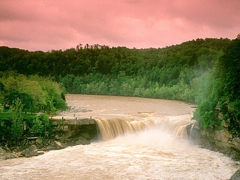 Nature, Water, Trees, Waterfall, Forest, Cumberland Falls, Kentucky HD wallpaper