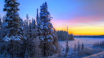 Winter Sunset, winter, snow, trees, sky, nature, sunset HD wallpaper