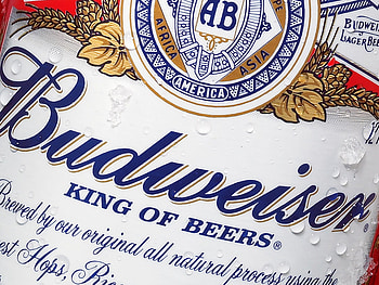-Budweiser, fun, men, other, women, beer HD wallpaper