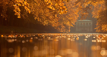 Autumn Nature, autumn, nature HD wallpaper