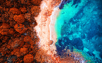 coast, , aerial view, sea, autumn, orange trees, beautiful nature, stones, R HD wallpaper