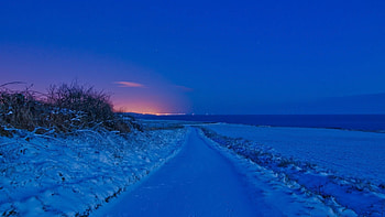 animal footprints in wintry road at dusk, winter, footprints, road, dusk HD wallpaper