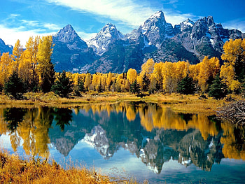 Nature, Trees, Autumn, Lake, Reflection, Forest, National Park, Wyoming HD wallpaper