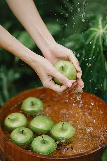 Hands wash fresh green apples in a wooden basin outdoors, surrounded by lush greenery. HD phone wallpaper