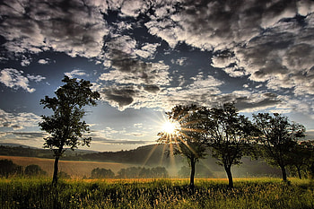 landscape, trees, cloudes, sun, field HD wallpaper