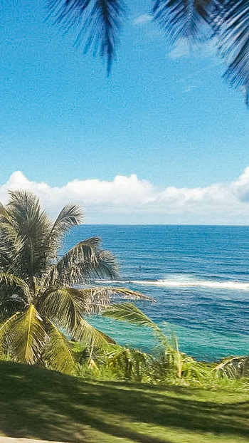 Delicious flavors, Puerto Rico food HD phone wallpaper