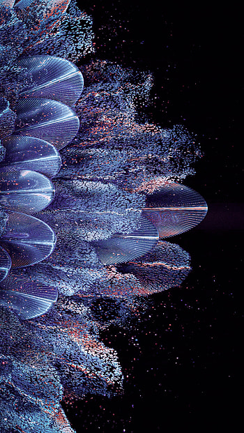 Flower feathers, aesthetic, art HD phone wallpaper