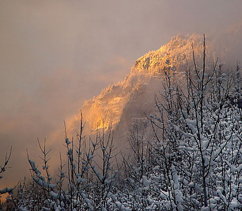 winter light, winter, nature, sun, light HD wallpaper