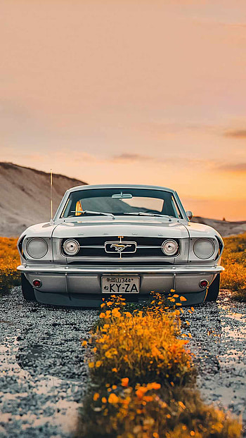 Ford-mustang, cloud, sky, yellow, mustang, ford, sun HD phone wallpaper