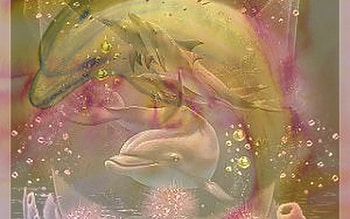 dolphins, pink, water, yellow HD wallpaper