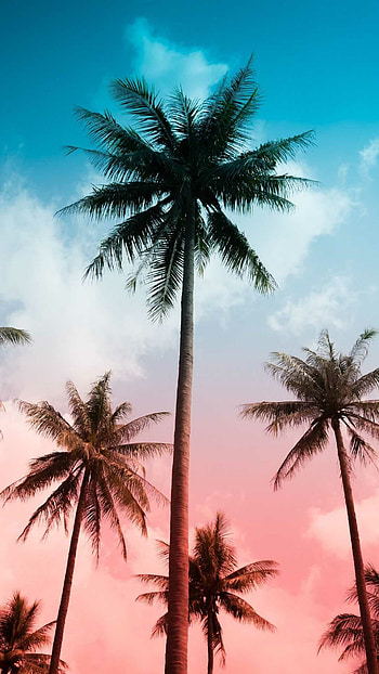 Summer vibes, Sunny beach days, Serene summer scenes, Feel-good HD phone wallpaper