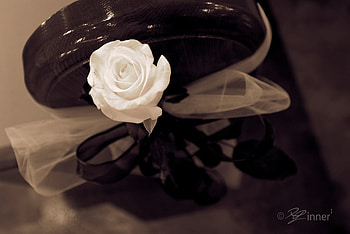 Wedding Rose, rose, still life, white, wedding HD wallpaper