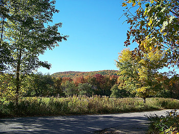 autumn in maine 4, trees, autumn, sky, maine, mountain HD wallpaper