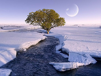 White snow, digital art, lovely HD wallpaper
