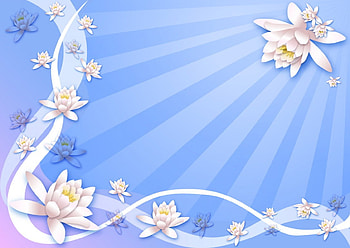 flower, blue, pink, abstract HD wallpaper