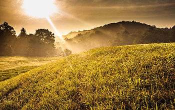 Landscape, Nature, Sun, Shine, Light, Beams, Rays, Slope, Meadow HD wallpaper