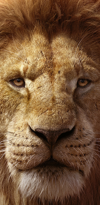 The Lion King movie, 2019 release, Iconic characters, Emotional journey HD phone wallpaper