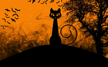 Happy Halloween!, black, bat, cat, orange, pisica, halloween, fantasy, card, silhouette HD wallpaper