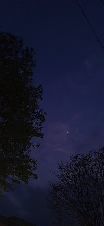 starting dark, atmosphere, sky, moon, night HD phone wallpaper