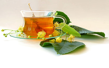 Food, Leaves, Cup, Plate, Tea HD wallpaper