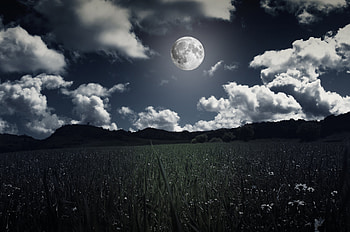 Nature, Grass, Clouds, Moon, Field, hop, Full Moon HD wallpaper