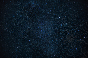 Web, Dark, Shine, Starry Sky, Brilliance, Spider HD wallpaper