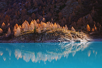 Serene Reflections: Nature Landscape, nature, landscape, reflection, lake, forest HD wallpaper
