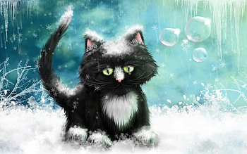Animals, Cats HD wallpaper