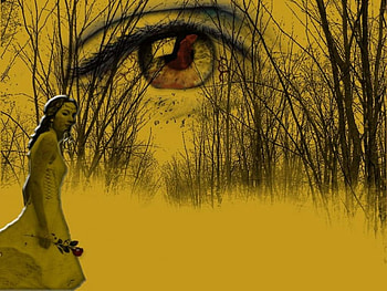 She Sees All of Us, rose, trees, sky, eye, woman HD wallpaper