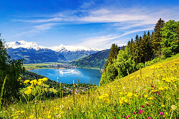 View over Zell am See, Austria, beautiful, meadow, grass, austria, mountain, lake, wildflowers, see, view, sky HD wallpaper