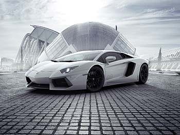White Lamborghini Aventador New, lamborghini-aventador, lamborghini, cars HD wallpaper