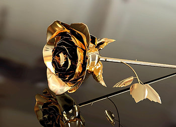 Rose, Gold Foil HD wallpaper