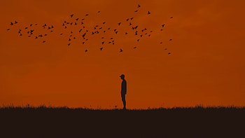 Birds, Silhouette, Minimalism, Human, Person HD wallpaper