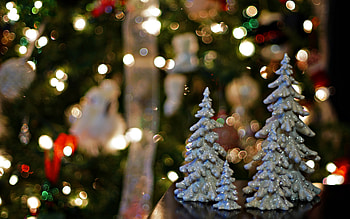 Festive lights, Christams, Festiwe, Light, Tree HD wallpaper
