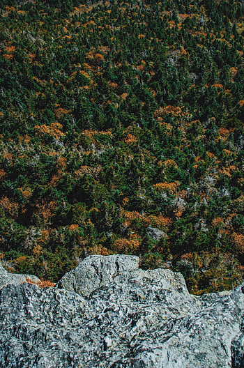 Nature, Trees, Rock, View From Above, Stone HD phone wallpaper
