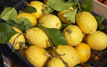 Fruits, Food, Lemons HD wallpaper