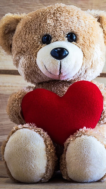 Beautiful Teddy Bear, Toy HD phone wallpaper