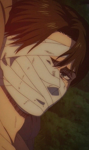 Attack on titan, nose, jaw, snk4, levi HD phone wallpaper
