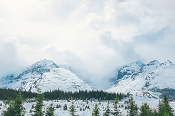 Nature, Trees, Mountains, Snow, Vertex, Fog, Tops HD wallpaper