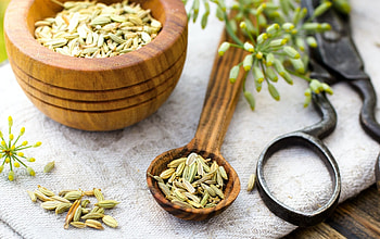 Indian recipes, Fennel seeds, Culinary uses, Spices and flavoring HD wallpaper