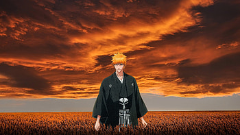 Kurosaki Ichigo, Gotei 13, Ichigo Kurosaki, Anime, Bleach HD wallpaper